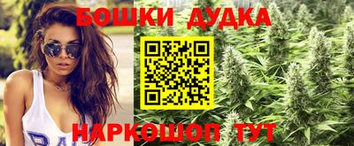 трава Брянск
