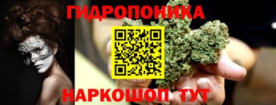 Альфа ПВП Братск