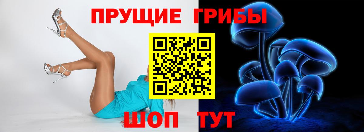 Галлюциногенные грибы Psilocybe Гудермес